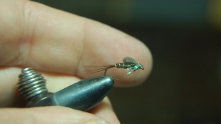 FLY TYINGPHEASANT TAIL EMERGERTHE DEADLIEST FLIES [upl. by Norit]