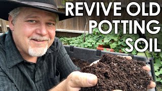 How To ReUse Old Potting Soil  4 Methods for Recycling  Black Gumbo [upl. by Ynnattirb]