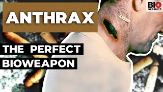 Anthrax Nature’s Perfect Bioweapon [upl. by Jim659]