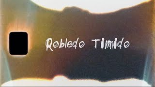 Robledo Timido  DOWNFALL Official Visualizer [upl. by Haynes127]