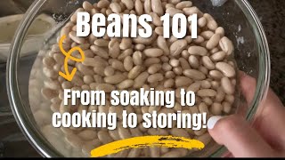 Beans 101 From Soaking to Cooking to storing How To [upl. by Durand825]