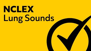 Lung Sounds  NCLEX Review [upl. by Lynett620]