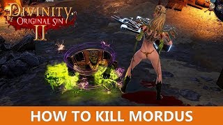 How to kill Mordus  Tips amp tricks Divinity Original Sin 2 [upl. by Hinkel]