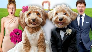 My DOG got MARRIED In Real Life [upl. by Adnoek807]