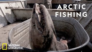 Catching King Salmon in the Arctic  Life Below Zero [upl. by Enitsyrhc383]