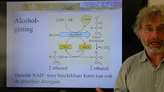 Biologie VWO BB Anaerobe dissimilatie [upl. by Danialah]