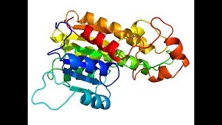 STEP BY STEP GUIDE HOW TO DO HOMOLOGY MODELING USING SWISS MODEL [upl. by Phiona]