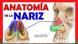 Poliposis Nasal  Causas y Su Cirugía  Dr Gago [upl. by Kedezihclem972]