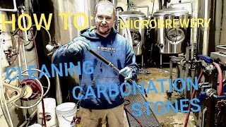 CLEAN CARBONATION STONE How To Microbrewery [upl. by Gnik266]