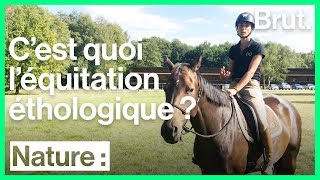 Cest quoi léquitation éthologique [upl. by Valentia]