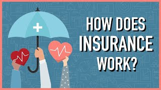 How Does Insurance Work [upl. by Kronfeld]