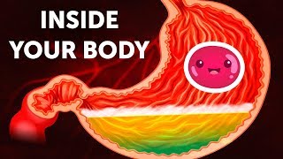 A Journey Inside Your Body [upl. by Medardas]