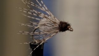 Caddis Emerger [upl. by Ezaria]