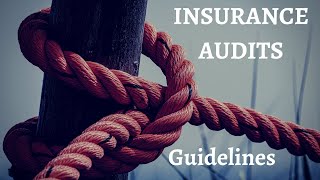 Audit in Insurance Companies  Basic Guidelines [upl. by Odin]