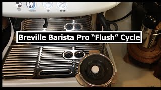 How to Clean  Flush  Breville Barista Pro  Cleaning Cycle 브레빌870 클린미 청소법 [upl. by Euell]