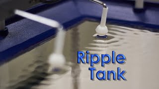 Ripple Tank showing superposition constructive and destructive interference [upl. by Esoryram]