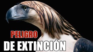 2ºBÁSICOCIENCIAS  Animales en peligro de extinción [upl. by Einrae]