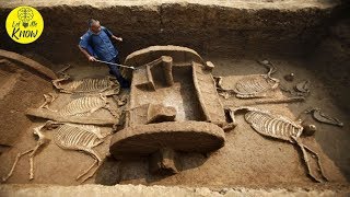 20 Archaeological Discoveries That Will Blow Your Mind [upl. by Phaih]