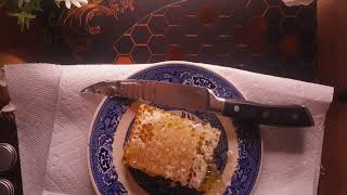 ASMR Eating Honeycomb [upl. by Hildick843]