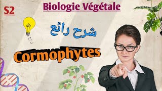 Biologie végétale en Arabe les cormophytes en Arabe SVI S2 [upl. by Anawyt]