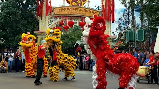 Dragon Dance  Disneyland Lunar New Year 2020 [upl. by Manoff]