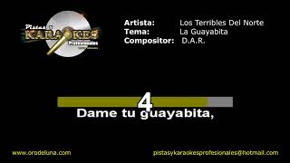 Los Terribles del norte LA GUAYABITA karaoke [upl. by Petronella]