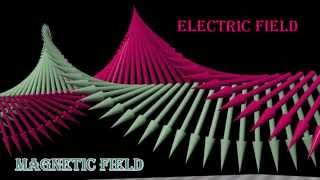 Polarization of Light circularly polarized linearly polarized unpolarized light [upl. by Brinna]