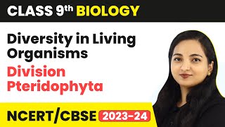 Division Pteridophyta  Diversity in Living Organisms  Class 9 Biology  202324 [upl. by Atsyrt]