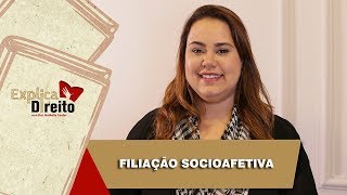 Explica Direito Filiação Socioafetiva  2019 [upl. by Grani]