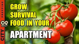 25 Survival Vegetables To Grow In Your Apartment pt1 [upl. by Aeneg]