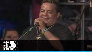 Guararé Tito Gómez  En Vivo [upl. by Krigsman524]