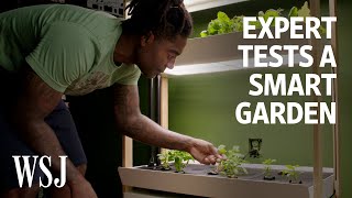 Can an Indoor Smart Garden Beat Outdoor Gardening We Tested It  WSJ [upl. by Farley]