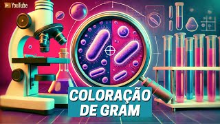 Coloração de Gram  Bactérias Gram Positivas e Gram Negativas  Biologia Ilustrada [upl. by Candless]