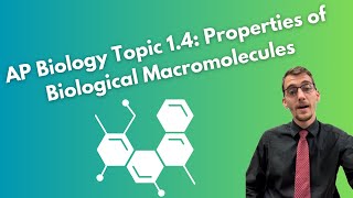 14 Properties of Biological Macromolecules  AP Biology [upl. by Taylor]