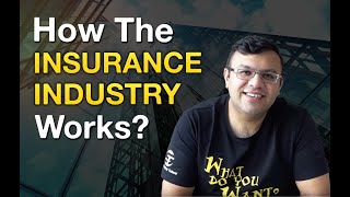 How The Insurance Industry Works  Financial Planning Process  Dr Sanjay Tolani [upl. by Ycart]