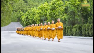 Alms Round  A Beautiful Tradition Of Buddhism  Ba Vang Pagoda Vietnam [upl. by Aetnahs]