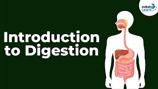 Introduction to Digestion  Digestion and Absorption  Dont Memorise [upl. by Henrieta]