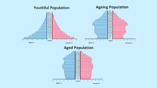 How to Read a Population Pyramid [upl. by Emarej70]