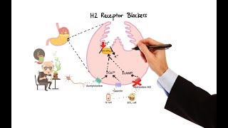 Pharmacology  ANTIHISTAMINES MADE EASY [upl. by Casar]