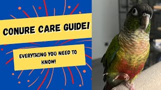 Conure Care Guide  Everything You Need To Know  TheParrotTeacher [upl. by Udele502]