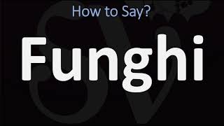 How to Pronounce Funghi CORRECTLY [upl. by Nairbo]