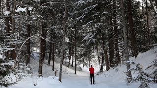 Cross Country Skiing  A Pure Michigan Winter [upl. by Falkner]