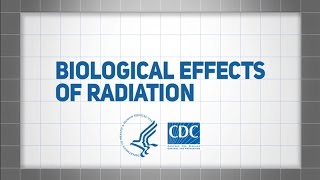 Biological Effects of Radiation [upl. by Mersey]