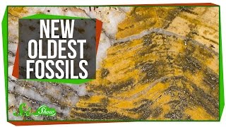 The Oldest Fossils Ever Found [upl. by Onfre]