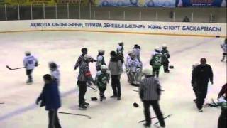 Best kids under 10 mass hockey fight [upl. by Adnanref]