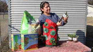 How to Use a Topsy Turvy Strawberry Planter [upl. by Deron]