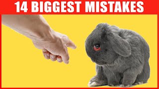 14 Common Mistakes Rabbit Owners Make [upl. by Akcinahs]