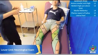 Mayo Medics Lower Limb Neurological Exam [upl. by Aiderfla]