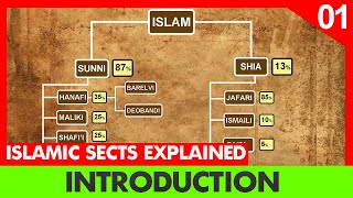 Introduction Islam sects explained  Episode 1  Division of Shia and Sunni  InQuisitive Insight [upl. by Carrissa]