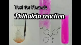 Phthalein reaction  test for phenols [upl. by Ardekan]